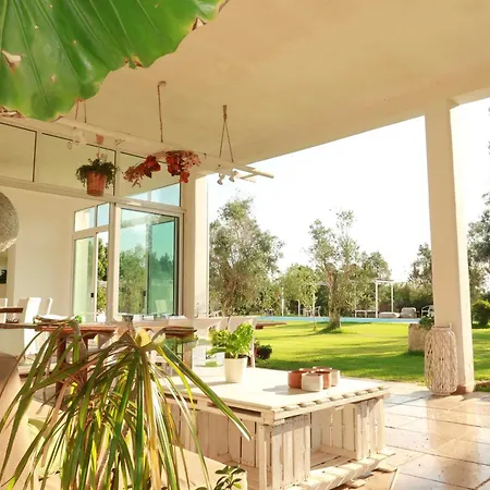فيلة Luxury Moruse