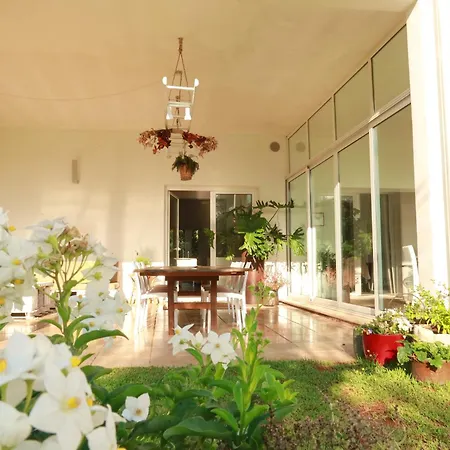فيلة Luxury Moruse *